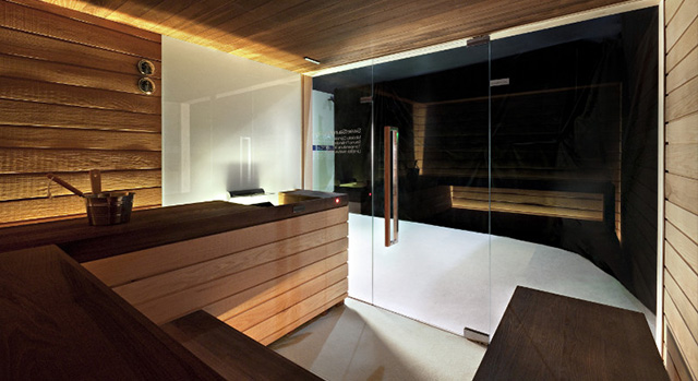 Sauna Design Geneve Suisse