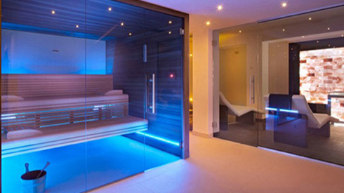 Vente Sauna Professionnel Suisse